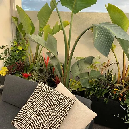 Apartment Oak Valley Flats Santa Catarina
