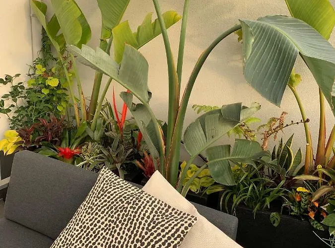 公寓 Oak Valley Flats Santa Catarina