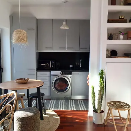 Oak Valley Flats Santa Catarina *